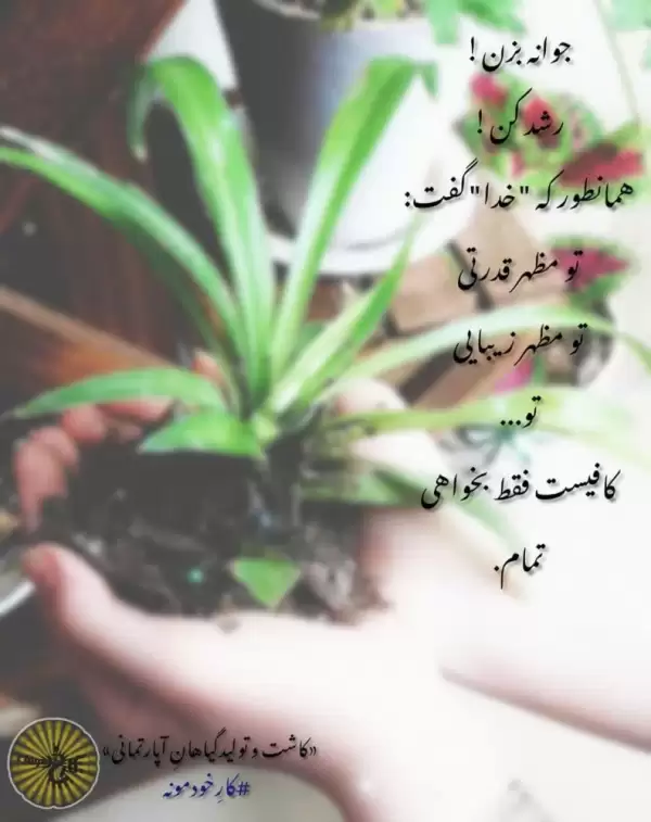 زهرا آسترکی